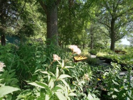 Native Plant Nursery, Dedicated To Restoring Our Native Plant Heritage