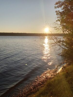 Fact: Minnesota is home to over 10,000 lakes that harbor many of our native plants native to Minnesota